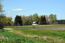Фото на тему Історія села